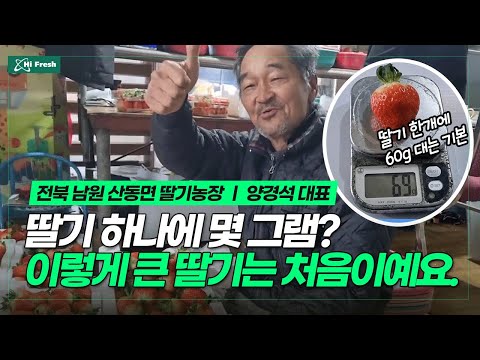 전북 남원 딸기농장 (양경석 대표님)